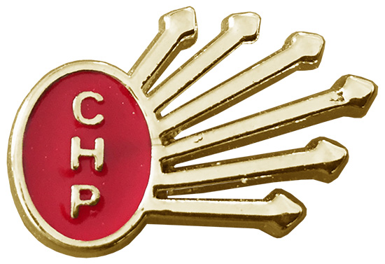 CHP01 - CHP Döküm 6 Ok Yaka Rozeti
